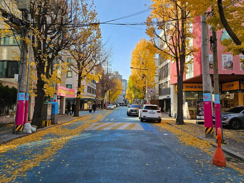 [서울 마포] 핫플합정홍대올리모델링2룸(채광좋고햇볕좋은1층같은살짝반지층) 66