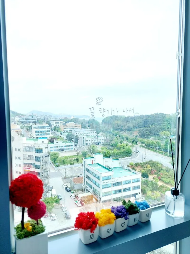 [강원 동해] 1220호  라텍스 퀸베드 묵호항뷰 11