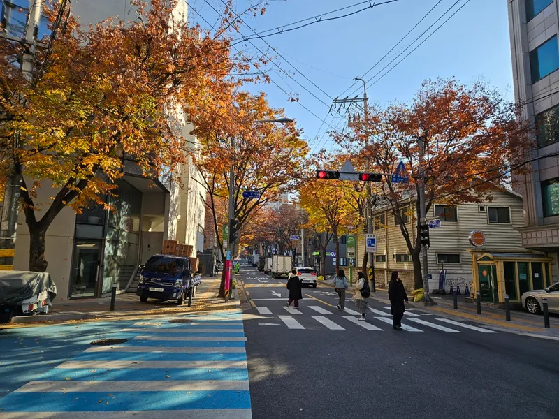 [서울 마포] 핫플합정홍대올리모델링2룸(채광좋고햇볕좋은1층같은살짝반지층) 78