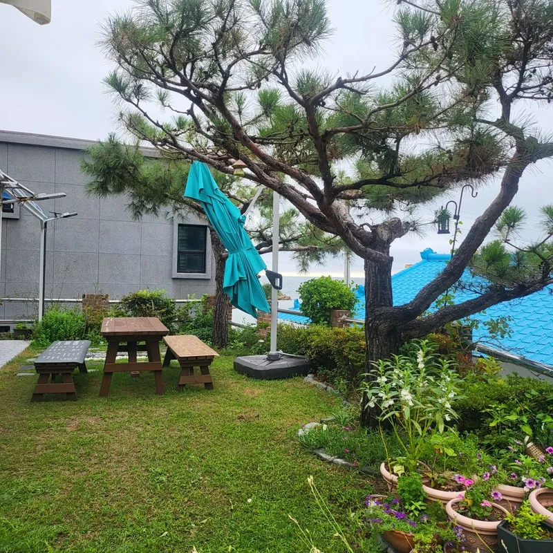 [Yeongdeok] A recently remodeled 56-pyeong detached house with a country feel and healing nature in the arms of the sea 55