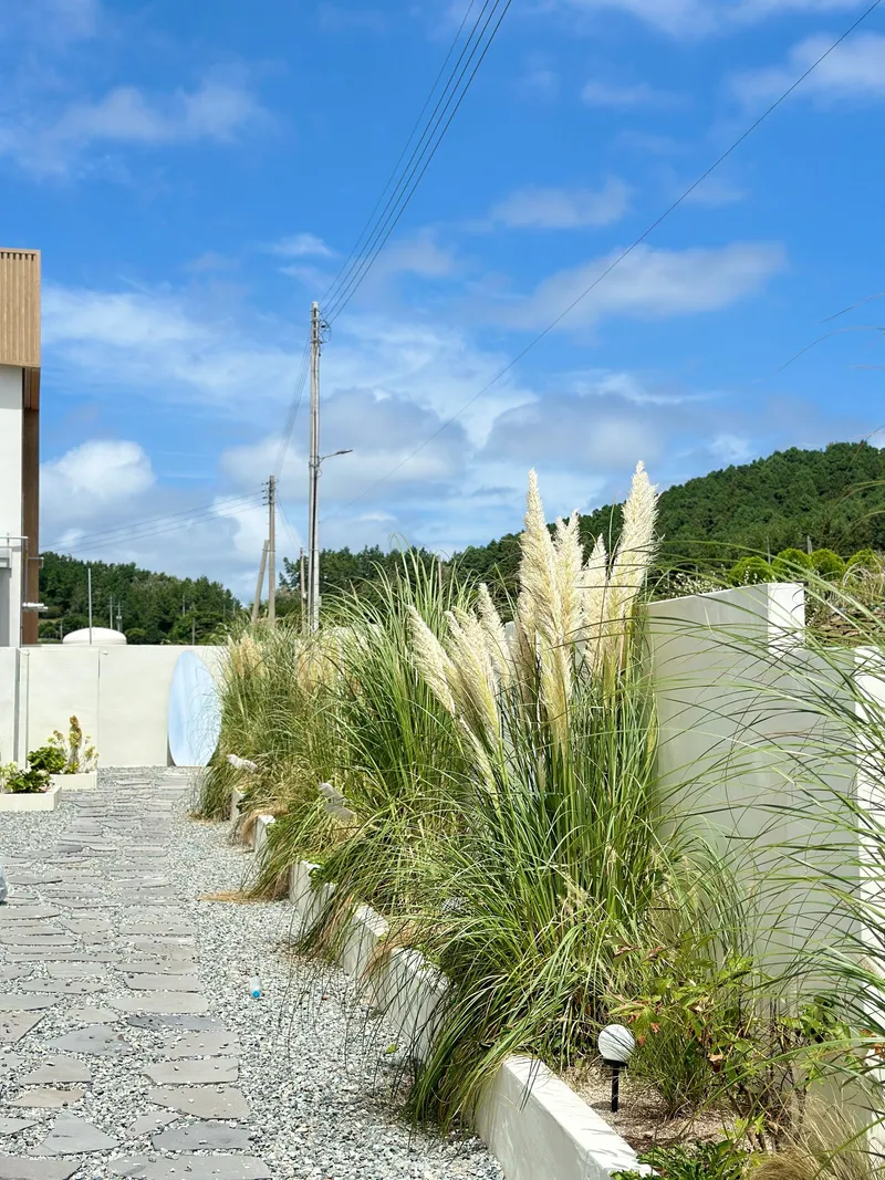 [Jindo] A sentimental independent house in a quiet village 10