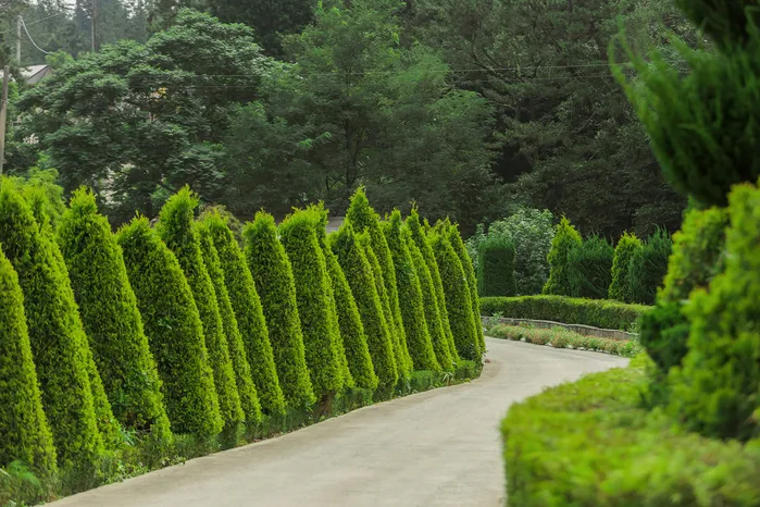 [Gangjin] Namdo Travel Recommendation Arboretum Garden No. 1 #Pets Allowed 17