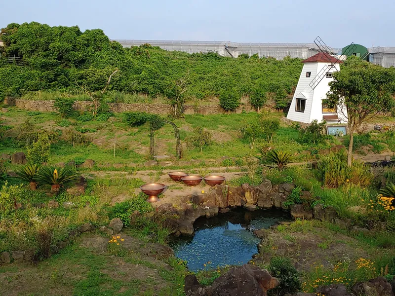 [Hangyeong, Jeju] A cozy house located in the mountains of 4,200 pyeong 21