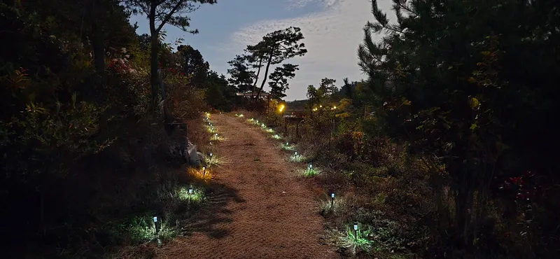 [Buyeo][Buyeo, South Chungcheong Province] A private space all your own amidst nature! A detached house in the forest 51