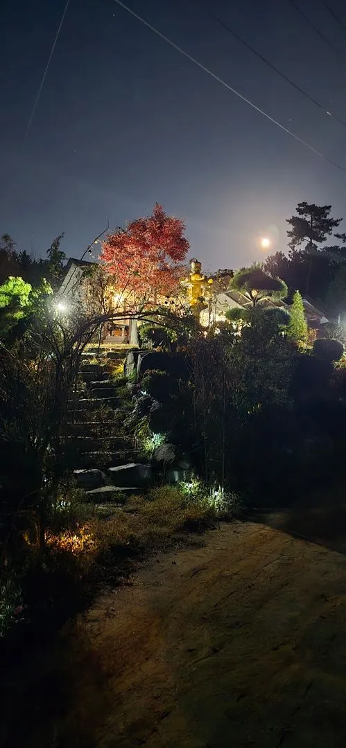 [Buyeo][Buyeo, South Chungcheong Province] A private space all your own amidst nature! A detached house in the forest 53