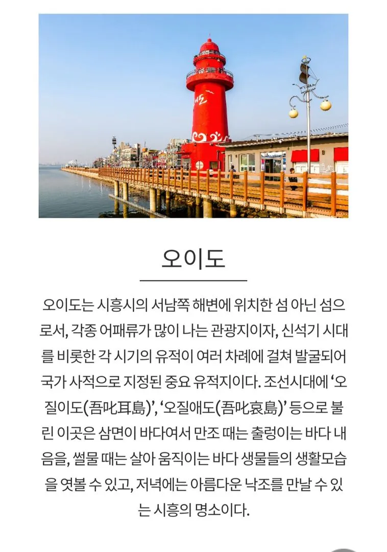[경기 안산] 힐링감성복층/시화호뷰/반려가능/ 오이도대부도여행/넷플마샬빔 46