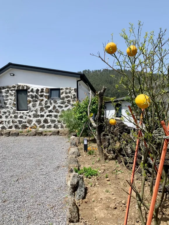 [Aewol, Jeju] Jeju's representative mountain peak front view, private jacuzzi, Insta-worthy accommodation 243