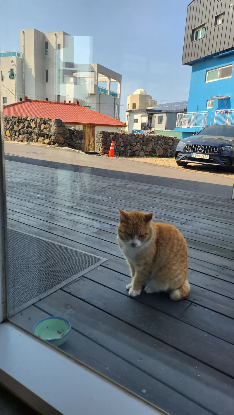 [제주 구좌] 월정리 해변앞 오션뷰 메이미힐링하우스 64