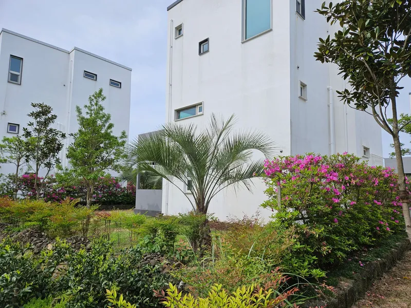 [Seongsan, Seogwipo] Townhouse C with a wide terrace and pretty garden 11
