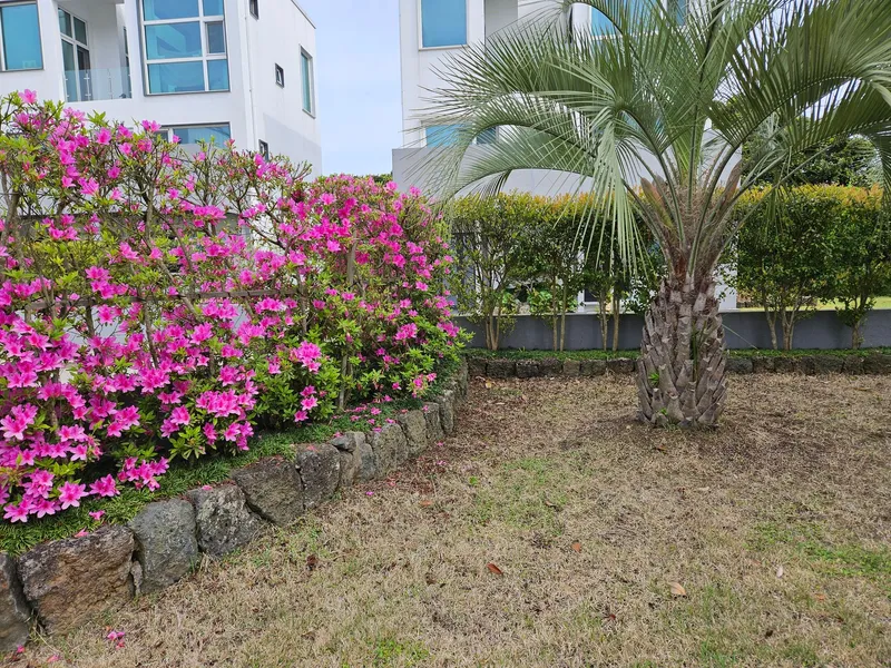 [Seongsan, Seogwipo] Townhouse C with a wide terrace and pretty garden 12