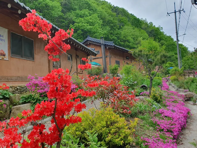 [울산 울주][울산 언양] 명승지 시골집 황토구들방 5