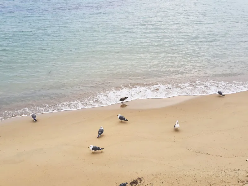 [Haeundae, Busan] High-rise two-room apartment 1 minute from the beach 28