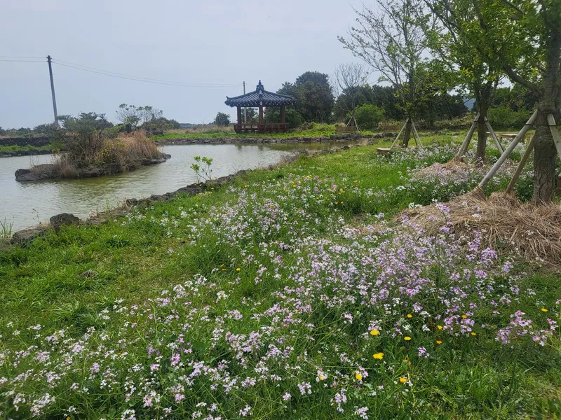 [Seongsan, Seogwipo] A quiet and clean remodeled three-room duplex house 34