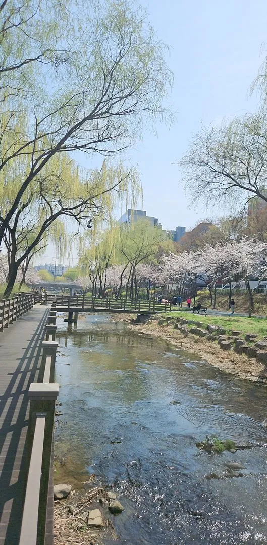 [Songpa, Seoul] Newly built apartment with full optional parking available 7