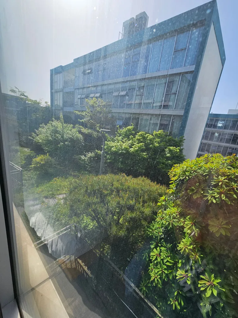 [Topyeong-dong, Seogwipo] Taktwin full-length glass, 1.5-room accommodation good for healing C6 16