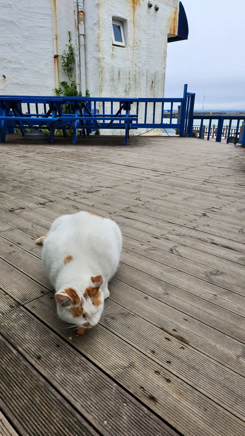 [제주 구좌] 월정리 해변앞 오션뷰 메이미힐링하우스 65