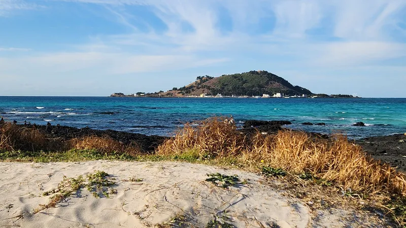 [Hallim, Jeju] 5 minutes by car from Hyeopjae, Geumneung, and Biyangdo, a two-story, stone-walled townhouse 101