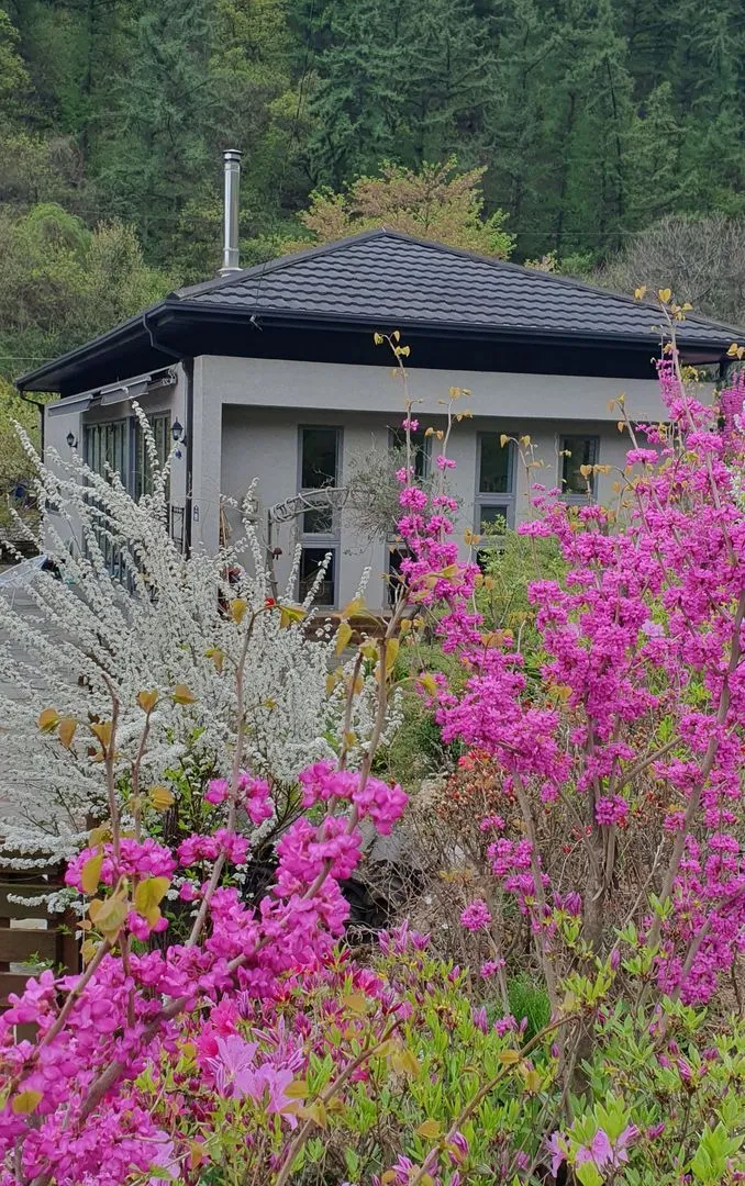 [Yangpyeong] Three-sided Mountain View, 10 minutes by car to Yangpyeong Station, detached one-room independent house 81