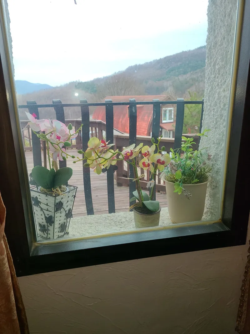 [Pyeongchang] Cabin A "Scent of the Forest" Duplex Private House, Pristine Area. Queen Bed Room, Downstairs Room 24