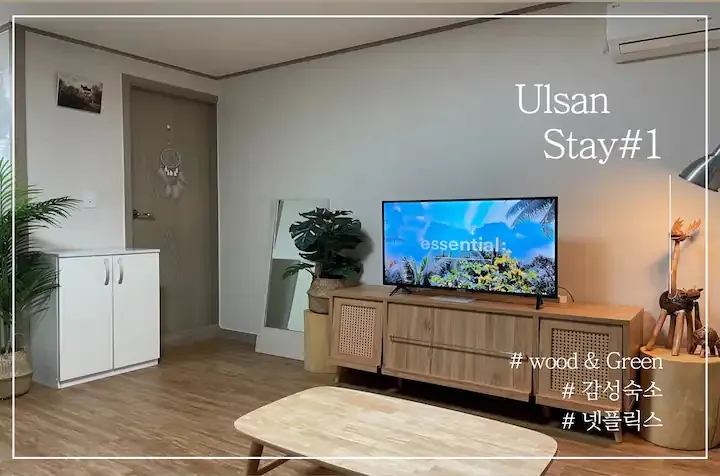 [울산 동구] S1 감성+ 2