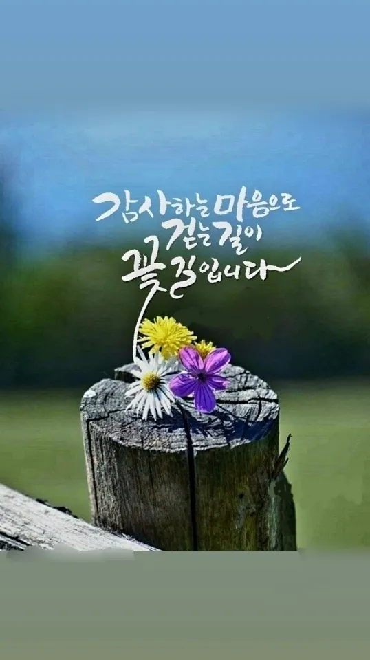 [광주 북구] 에스더 왕비 방 45