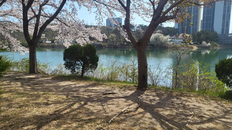 [Sokcho] Lighthouse Beach, Yeongrangho 5-minute walk away, cost-effective two-room apartment 24