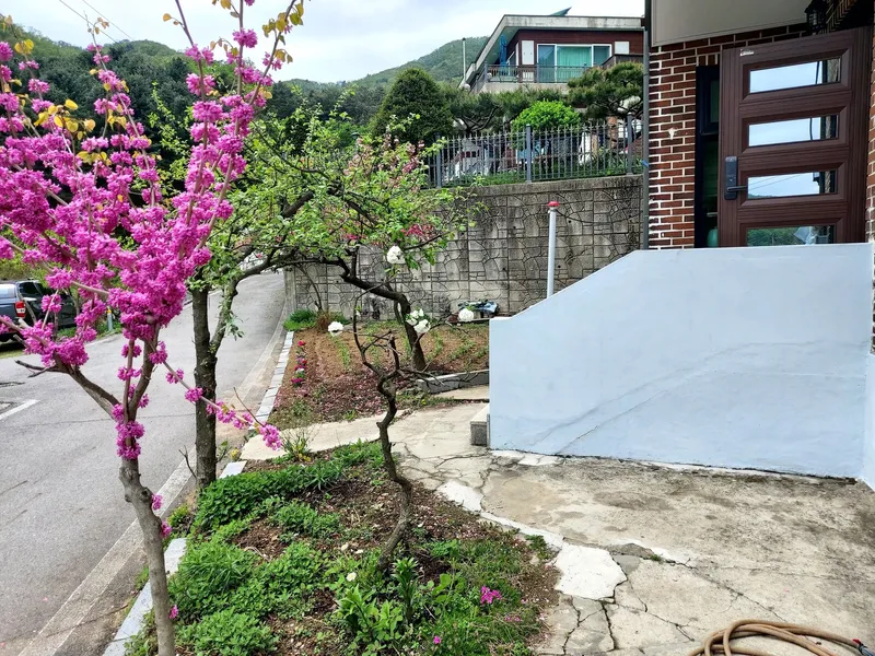 [경기 가평] 별빛  하우스 21