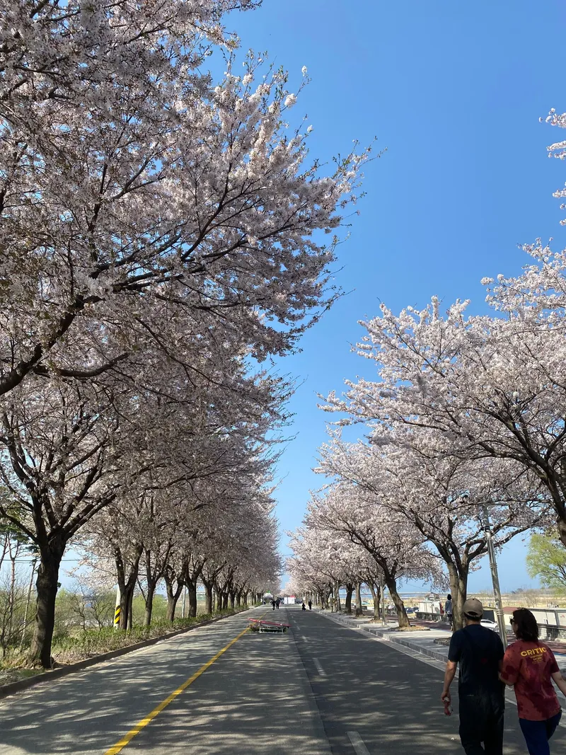 [강원 양양] 동호해변 근처 독채 #촌캉스 #한옥리모델링 #애견동반가능 35