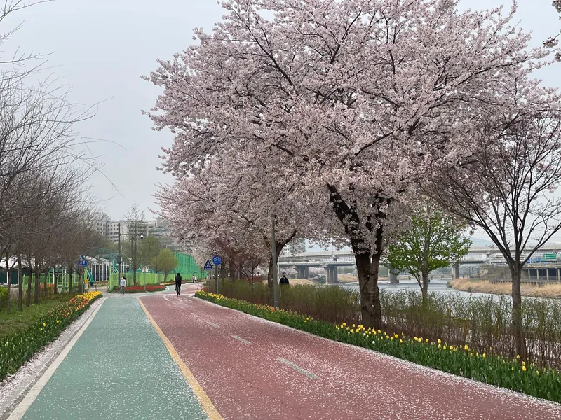 [Seongdong, Seoul] Independent house right in front of Majang Station, Yongdap Station, and Cheonggyecheon 19