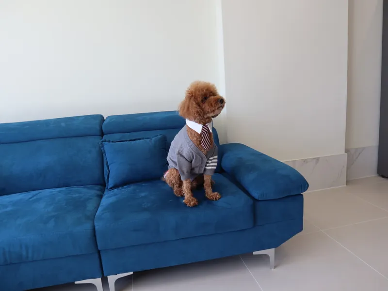 [울산 북구] 전객실 오션뷰 신축 풀빌라 펜션 101호 #소형견동반가능 3