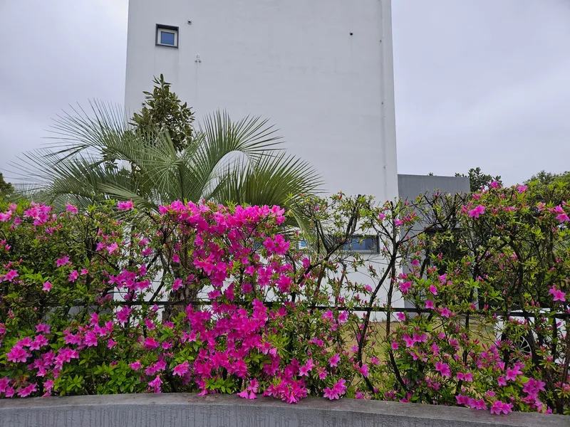 [Seongsan, Seogwipo] Townhouse B with a wide terrace and a pretty garden 16