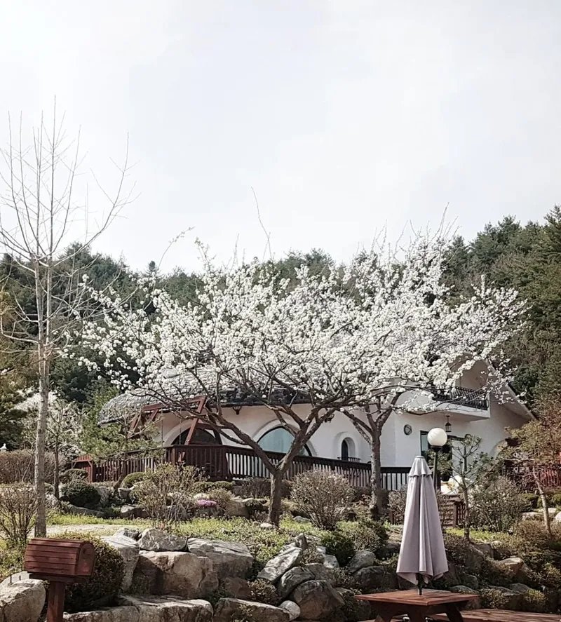 [Pyeongchang] Cabin A "Scent of the Forest" Duplex Private House, Pristine Area. Queen Bed Room, Downstairs Room 3