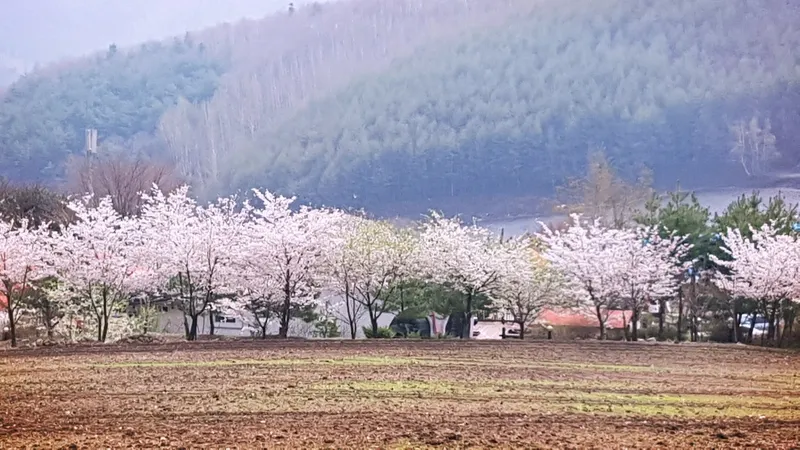 [강원 평창] 로그 B 유럽풍 펜션 복층 7