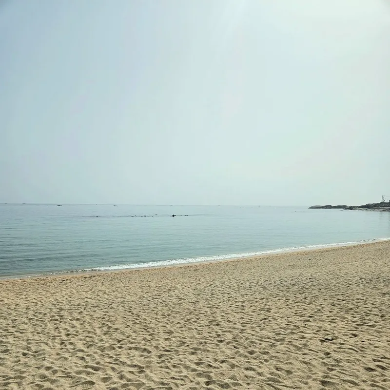 [강원 속초] 속초바다뷰 2가족이상 32