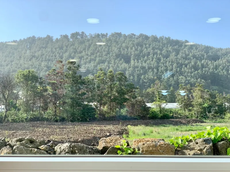 [Aewol, Jeju] Jeju's representative mountain peak front view, private jacuzzi, Insta-worthy accommodation 206