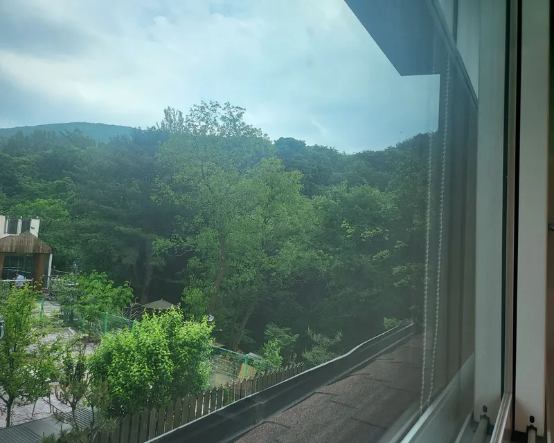 [Hoengseong] Healing Forest in the Valley #Lawn #DogFriendly 18