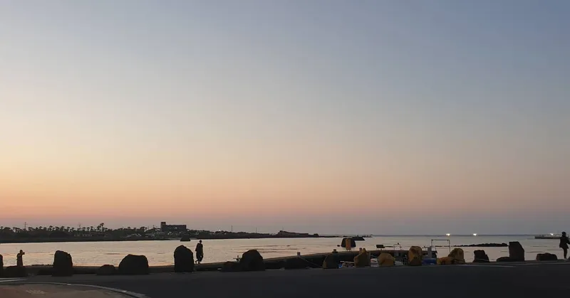 [제주 조천] 걸어서 30초면 바다~ 독채 13