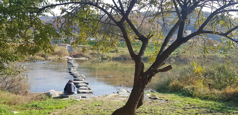 [강원 횡성] 섬강 하늘아래ㅡ그림같은 섬강과 산과 하늘을 바라보며 삶의 여유를 가지세요 51