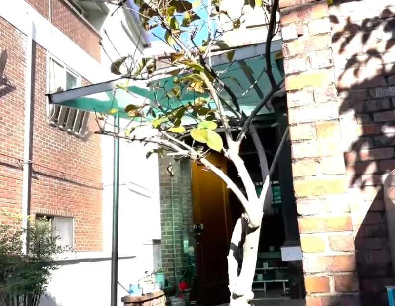 [Jeonju] Jeonju Harmony 12