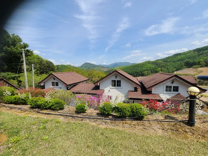 [Pyeongchang] Log M2 Room Private Duplex Pool A forest garden inside me 14