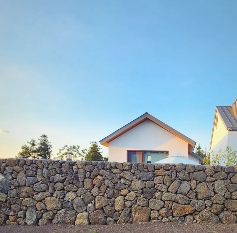 [Ara 1-dong, Jeju] Newly built, 1,000-pyeong (approximately 1,000 square meters) citrus orchard with a Jacuzzi #Near the airport 50