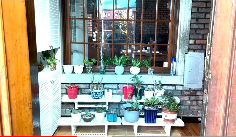[Jeonju] Jeonju Harmony 10