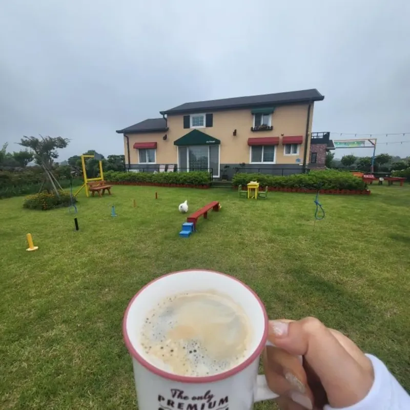 [제주 구좌] 유럽풍숙소 애견동반가능한 원룸복층주택 핑크오름 #대형견가능 126