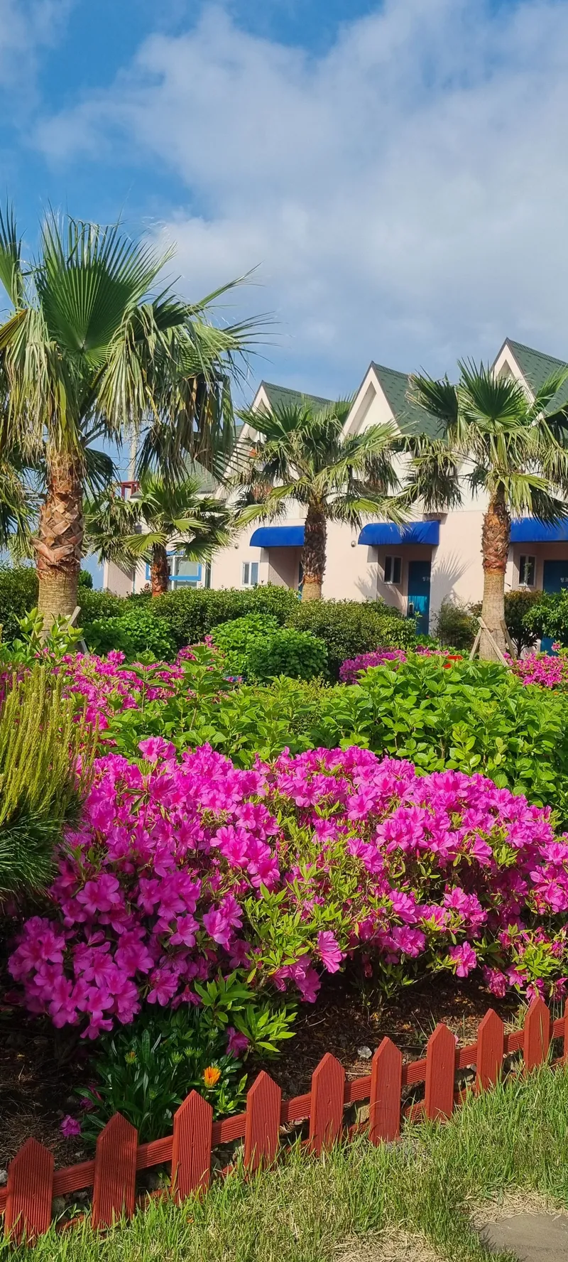 [Gujwa, Jeju] European-style accommodation, pet-friendly one-room duplex Blue Jeju #Large dogs allowed 47