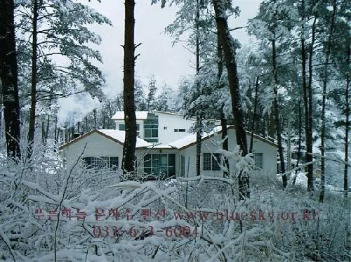 [Yangyang] Airy pension surrounded by pine trees #1st floor 6