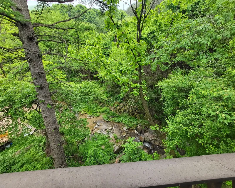 [강원 횡성] #패밀리x패밀리#숲속계곡뷰#가족이 함께 사용하기 좋은 숙소 20