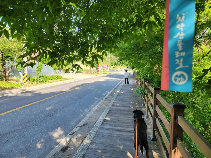 [Hoengseong] High-class three-room detached house in Chiaksan Bugok National Park #Pets allowed 32