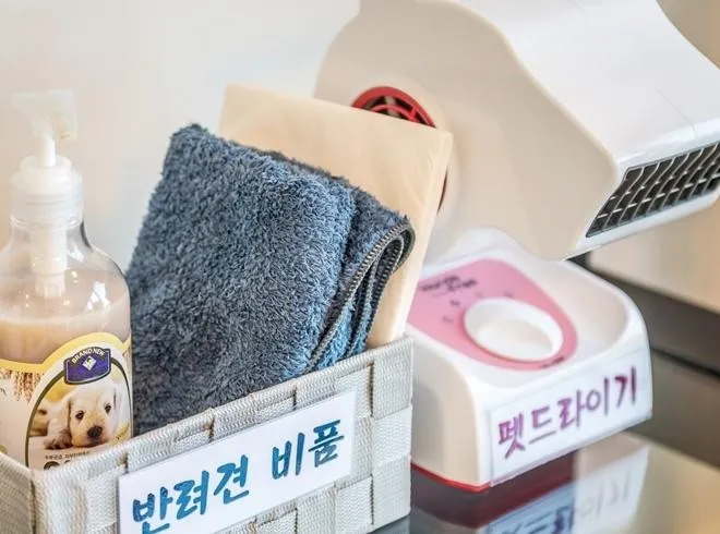 [강원 양양] 소형견동반가능한 물치해변 차량5분 펜션 세비아 #먼바다뷰 10
