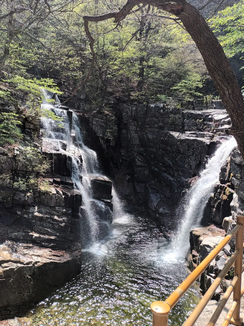 [강원 동해] 묵호바닷가 데크 마당이 있는 리모델링 된 작은 단독주택 38