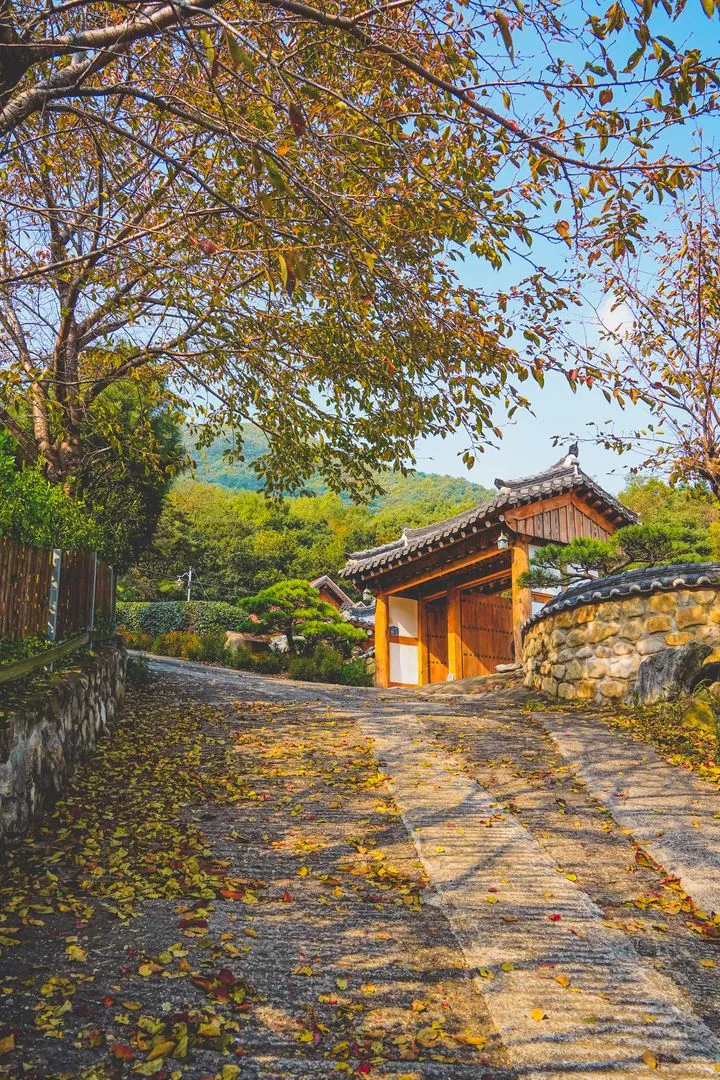 [Ulju, Ulsan] A detached Hanok with a mountain view, lawn, and private tea room 20